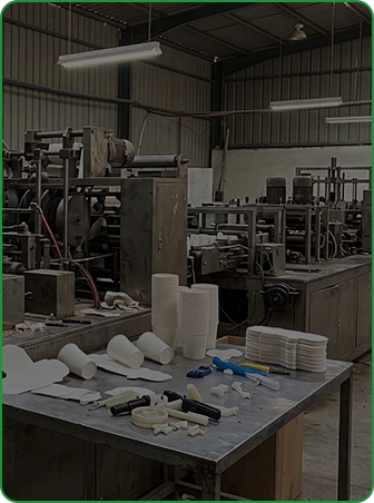 High-Volume Paper Cup Production Line in Egypt